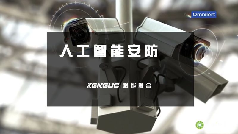 图像标注流程：从数据准备到模型训练的全面解析